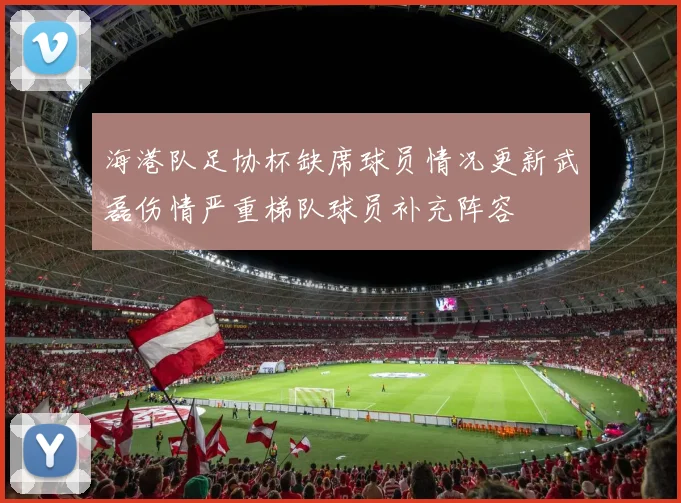 海港队足协杯缺席球员情况更新武磊伤情严重梯队球员补充阵容