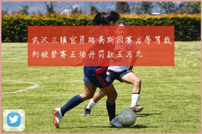 武汉三镇官员路易斯因赛后辱骂裁判被禁赛五场并罚款五万元